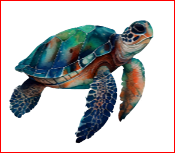 Sea Turtle